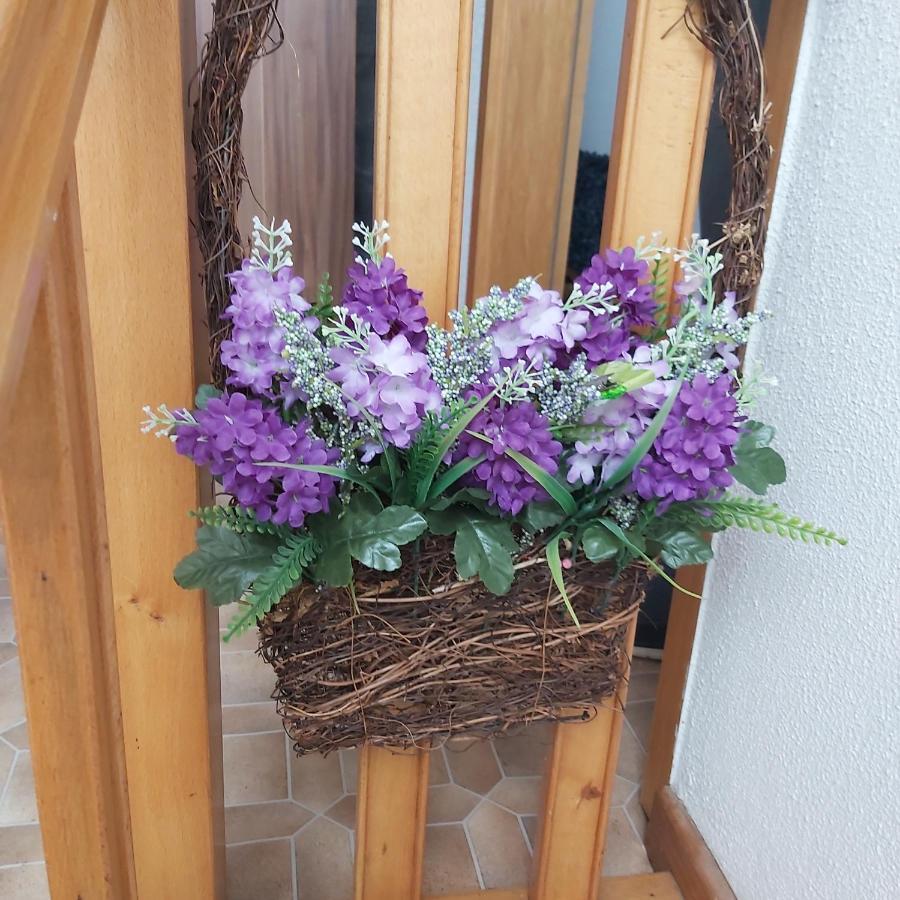 Kleine Altstadt Oase Apartman Bernkastel-Kues Kültér fotó