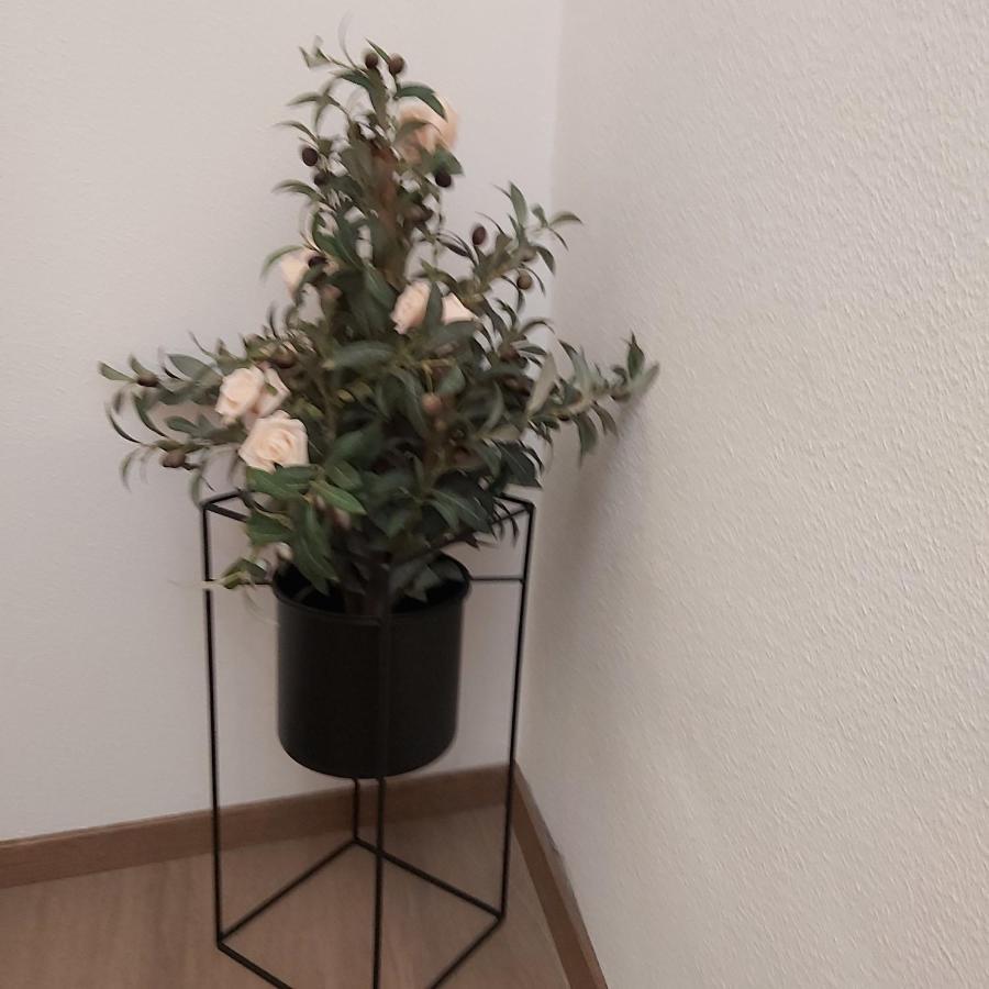 Kleine Altstadt Oase Apartman Bernkastel-Kues Kültér fotó