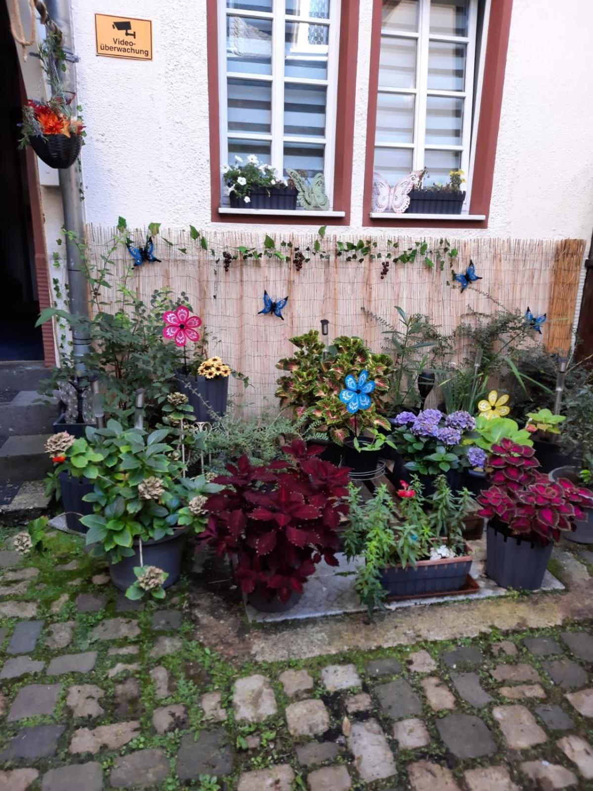 Kleine Altstadt Oase Apartman Bernkastel-Kues Kültér fotó